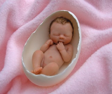 voici un bébé