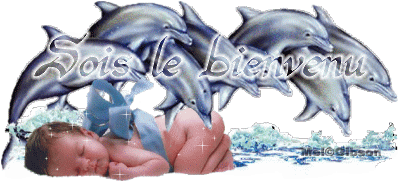 voici
